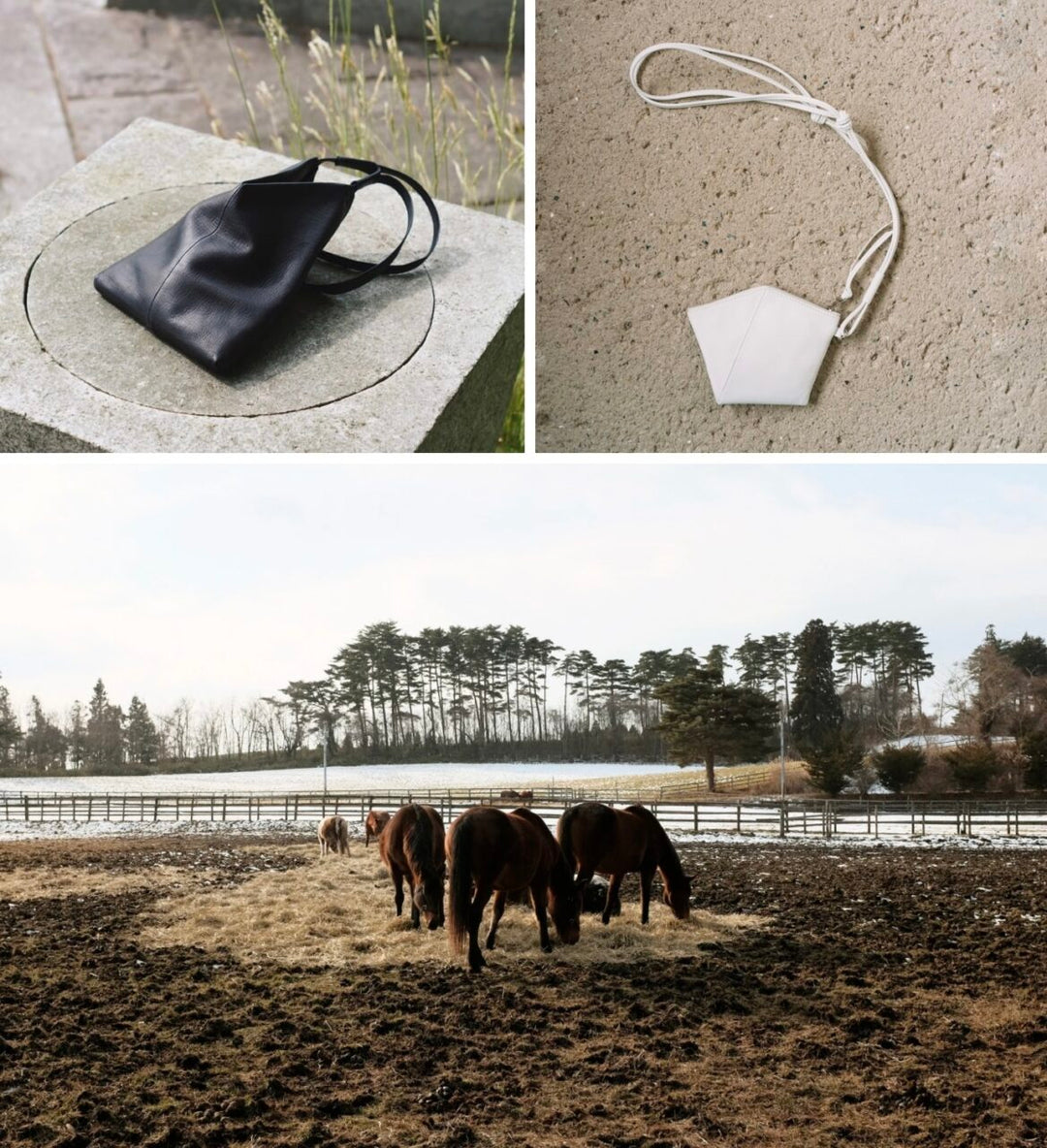 WOOD YOU LIKE COMPANY 表参道にて初の東京POPUPを開催いたします。